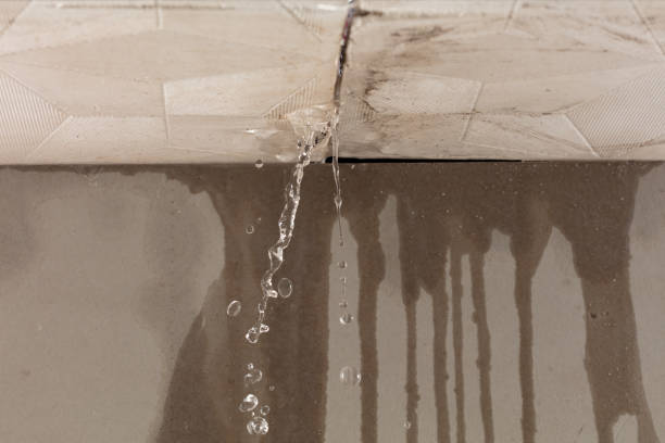 Professional Structural Drying technician working in Westhampton Beach, NY
